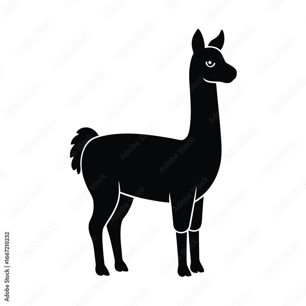 Fototapeta premium llama, camelid, animal, livestock, farm, wool, grazing, Andes, South-America, domesticated, pack-animal, silhouette