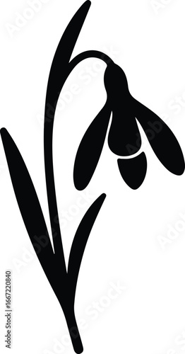 Illustrator Vector Minimalist snowdrop flower floral plant bloom silhouette
