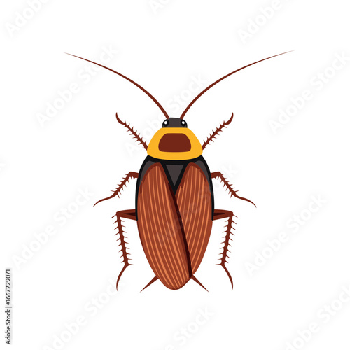 Stylized Illustration of a Brown Cockroach with Yellow Head Detail