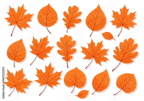 Vibrant autumn leaves in various shapes and sizes create a pattern against a dark background.