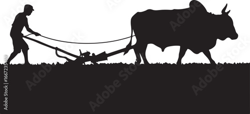 Farmer with bull plowing field agriculture