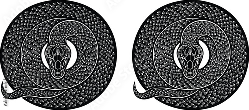 Two intricately detailed black snakes coiled in a circular pattern against a white background