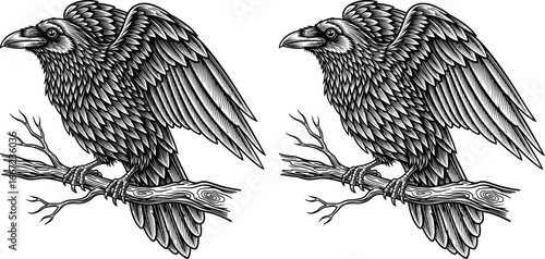 Majestic raven perched on a branch, detailed engraving style