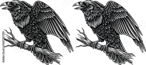 Mysterious black raven perched on a weathered branch, detailed illustration