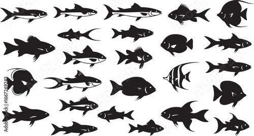 Diverse collection of black silhouette fish various species underwater wildlife sea creatures