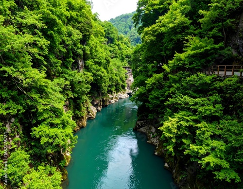 Lush river valley