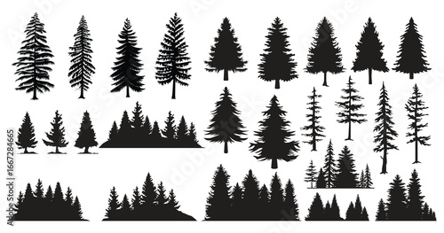 Collection of diverse evergreen tree silhouettes for nature designs