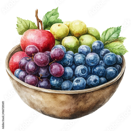 Summer Fruits Bowl, watercolor vector, isolated on a white background.