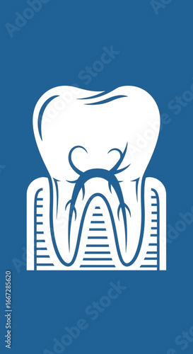 Stylized vector illustration of a human molar tooth cross-section showing roots, gums, and nerves, ideal for dental clinics and educational materials