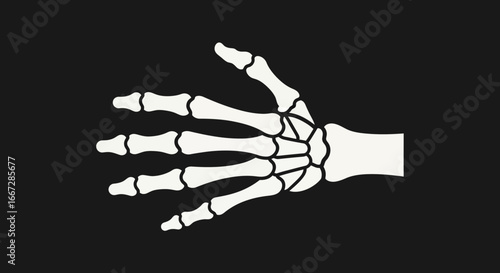 Anatomical vector illustration of a human hand skeleton, showing the carpal, metacarpal, and phalange bones against a solid black background