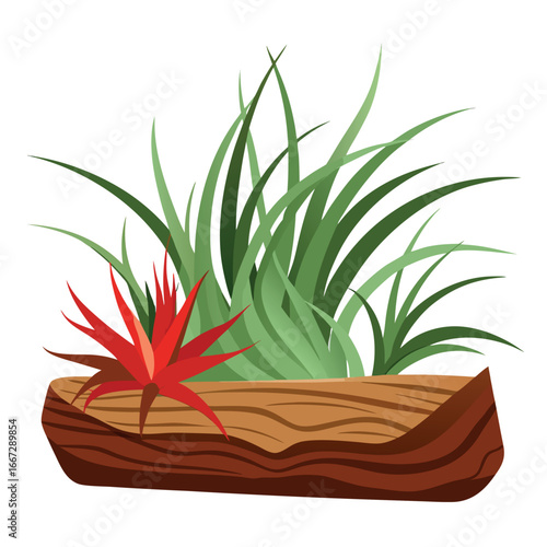 Vibrant red flower and green grass growing in a wooden log planter