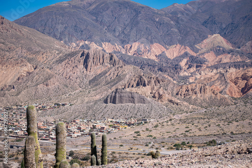 montaña colorida con cactus cielo azul soleado