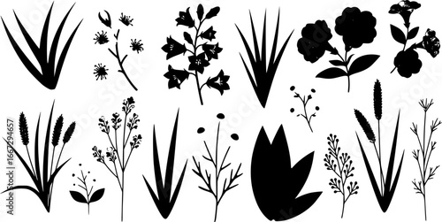 Pink, blue, and white flowers and green leaves and grasses isolated on a white background. Set of vector floral design elements
