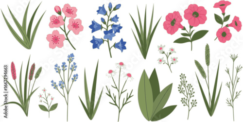 Pink, blue, and white flowers and green leaves and grasses isolated on a white background. Set of vector floral design elements
