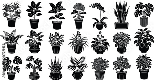 A detailed collection of various potted houseplants and indoor plants, presented as black and white illustrations.