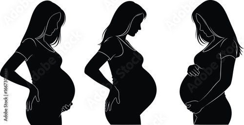 Silhouette of a pregnant woman in different stages of pregnancy, showing the growth of the baby.
