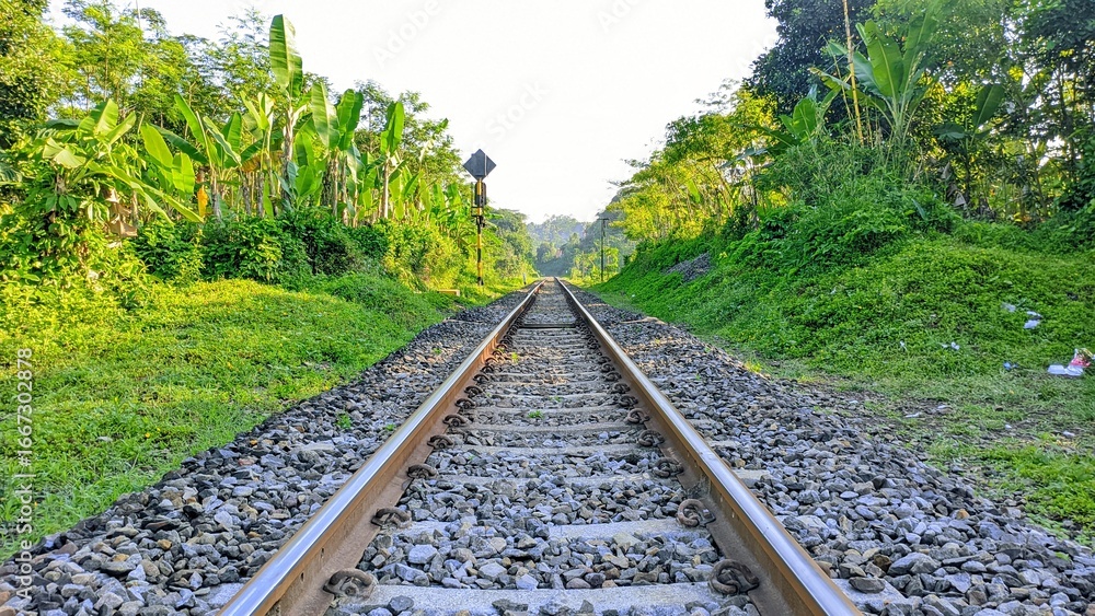 Fototapeta premium railway in the countryside