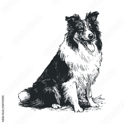Collie obedience and loyalty in charming illustration for decor