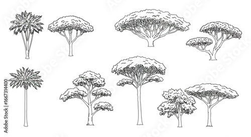 Detailed black and white outlines of various tree species with different shapes and forms