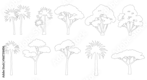 Outlined illustration depicting various species of trees, a minimalist vector design