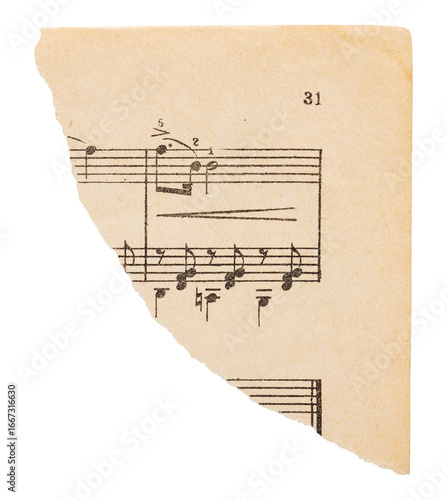 Torn corner of music sheet, old vintage yellowed paper with notes isolated for design
