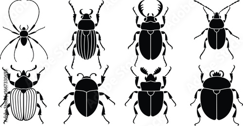 black insect silhouettes, spider and beetle vector set, entomology icons, bug shapes, symmetrical insect designs, isolated graphic, cad drawing flat illustration