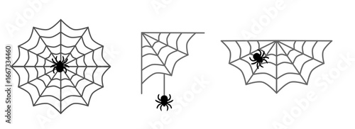 vector illustration of spider on a spider's web in varied web sizes on an isolated background