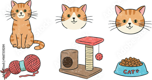 Cute orange tabby cat with yarn, scratching post, and food bowl vector illustration for pet care and animal lovers