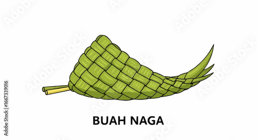Illustration of a dragon fruit, also known as pitaya or pitahaya.