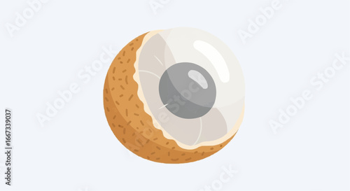 Vector illustration of a single peeled longan tropical fruit, showcasing its translucent white flesh and dark seed. Isolated exotic fruit icon for design