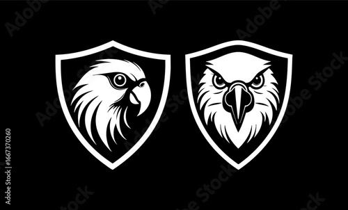 Parrot angry in shield