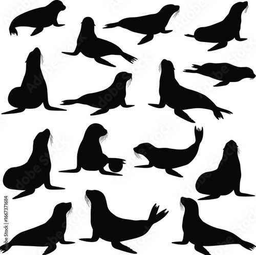 sea lion silhouette, marine animal vector, ocean wildlife illustration, aquatic mammal design, seal graphic clipart, coastal animal art, water creature shape, zoo element