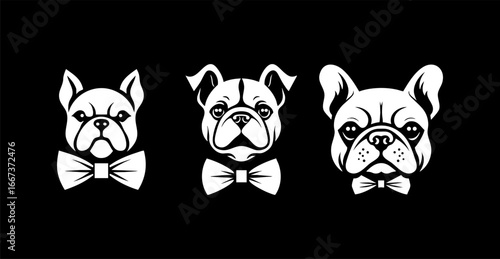 minimalist Bulldog with Bow Tie