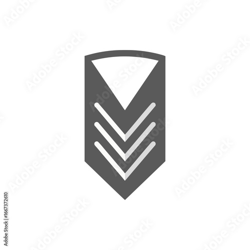 Simple Epaulette Military Icon