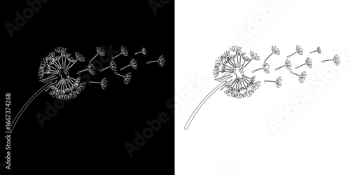 Dandelion seeds carried by wind creating a sense of freedom and new beginnings