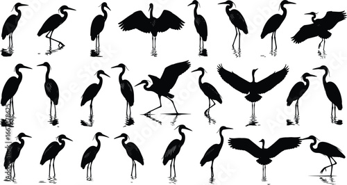 Silhouettes of herons standing and flying, water reflections, wild birds, nature wildlife, water birds, elegant birds, pond scene, bird group, natural habitat