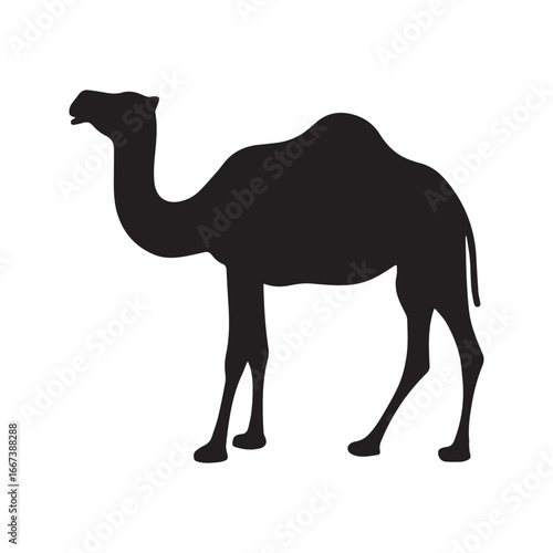 Camel silhouette vector icon. Desert dromedary animal graphic symbol, isolated on white background. Arabian wildlife logo design.
