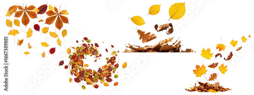 Set of falling autumn leaves compositions including swirls, piles, and blowing wind effects.