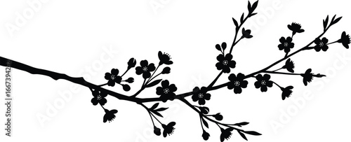 Cherry blossom branch silhouette, floral design element, black flower tree illustration, spring nature graphic, botanical vector art for decoration