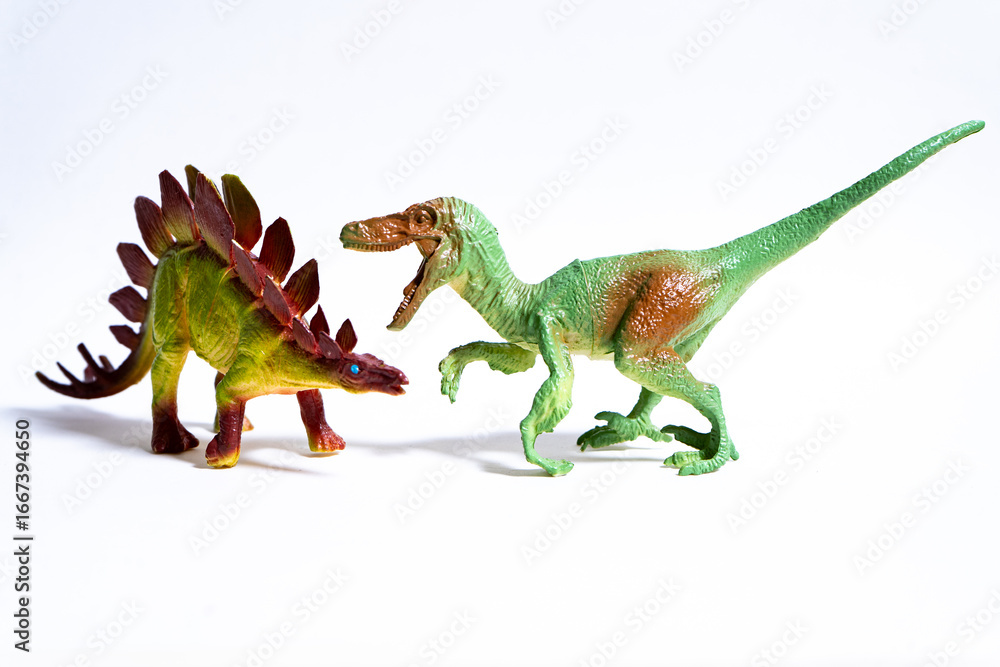 Obraz premium Velociraptor attacking stegosaurus dinosaur toy on white background