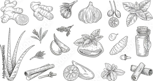 A collection of natural herbs and spices, including ginger, garlic, cinnamon, and aloe vera.