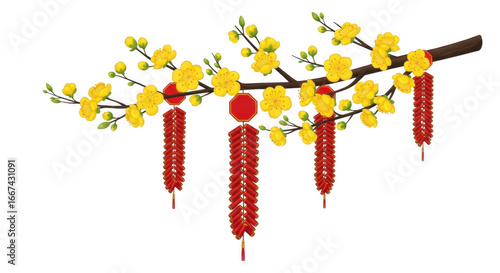 Apricot blossom branch with firecrackers for lunar new year celebration, a festive and traditional vietnamese symbol, isolated on transparent background