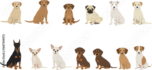 Illustration of various dog breeds sitting, colorful cartoon puppies, pets, animals, friendly dogs, diverse dog collection, cute and adorable pets