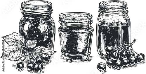 Hand Drawn Jars Filled With Preserved Fruit and Fresh Berries