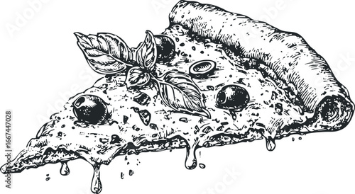 Hand Drawn Slice of Pizza with Basil and Olives