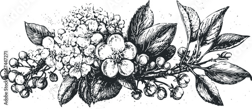 Wallpaper Mural Hand Drawn Botanical Arrangement of Blossoms and Berries Torontodigital.ca