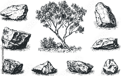Sketch of nature elements with rocks and a solitary tree on white background