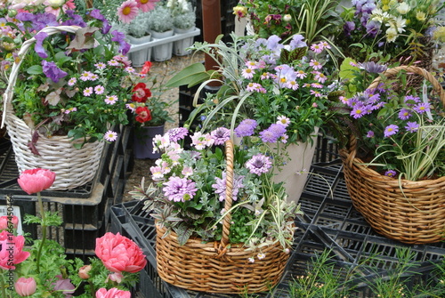 flowers in a basket