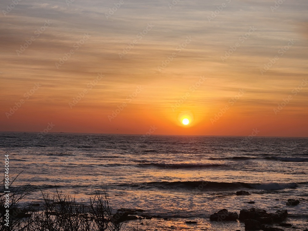 Fototapeta premium sunset over the sea