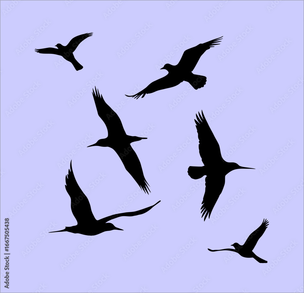Obraz premium Flying birds silhouettes vector illustration